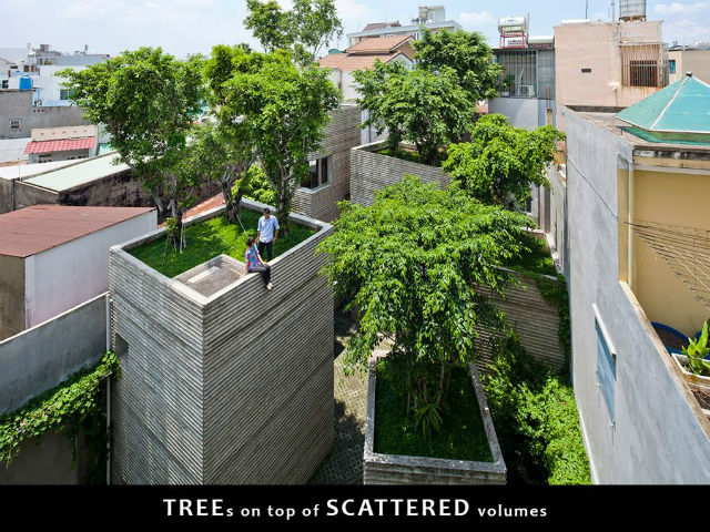 プロジェクト HOUSE FOR TREESの写真1