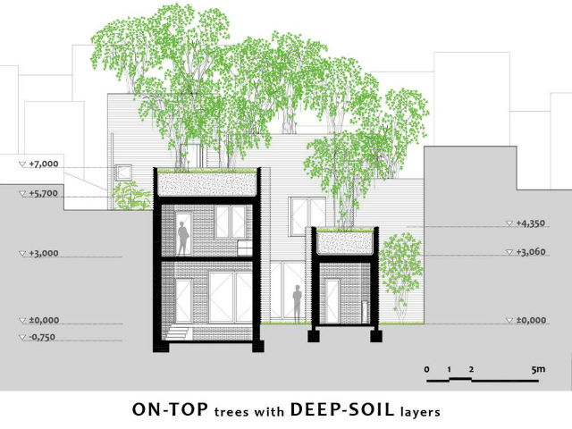 プロジェクト HOUSE FOR TREESの断面図